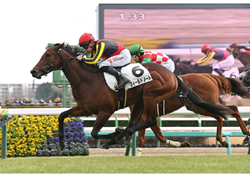 Ｒ7・3歳未勝利　中山（1/5）5Rレースパネル　フィールドノート