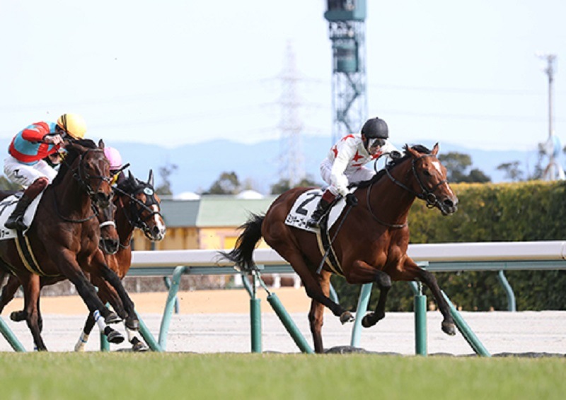 R7・3歳1勝クラス 中京(1/5)7Rレースパネル ミッキーゴールド