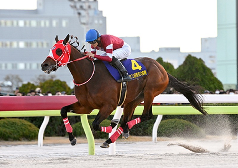 Ｒ6・東京大賞典レースパネル　フォーエバーヤング