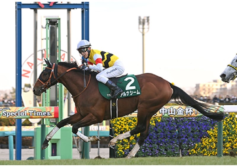 R7・中山金杯レースパネル アルナシーム
