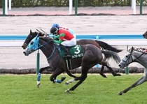 競馬 名馬 大きいパネル^o^ 競馬 名馬 大きいパネル^o^（未来に語り継ぎたい名馬 JRA