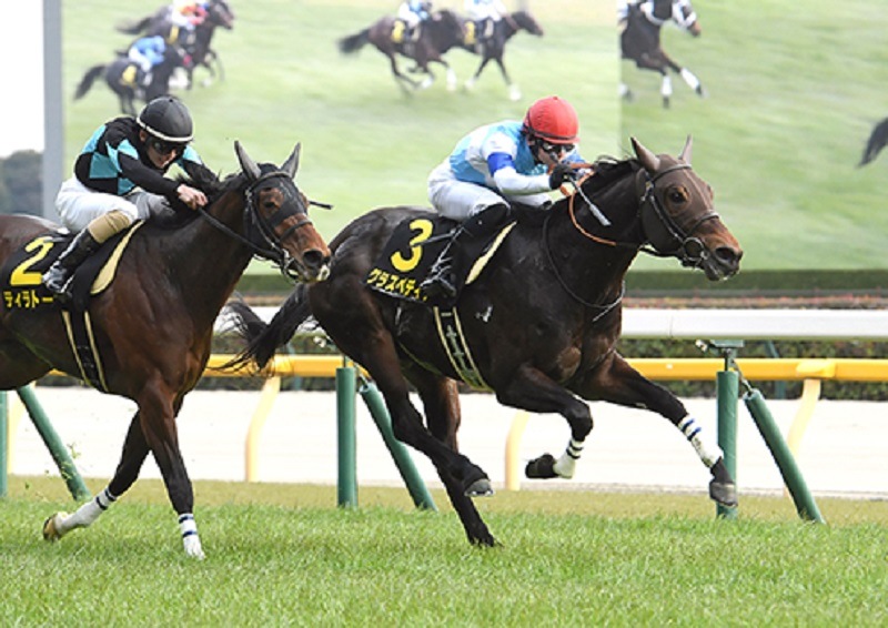 Ｒ7・クロッカスSレースパネル　クラスペディア