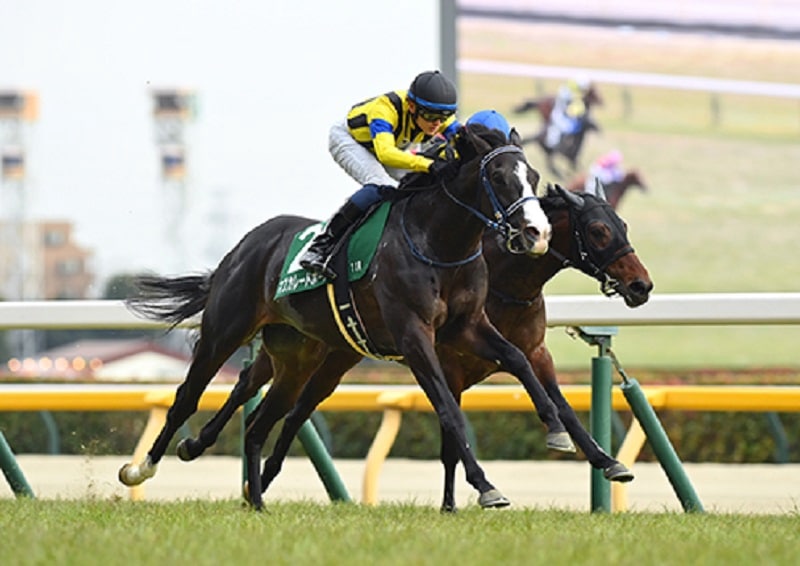 R7・共同通信杯レースパネル マスカレードボール | サンスポe-shop