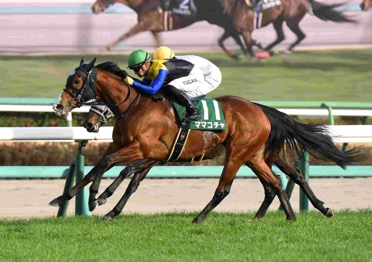 R7・オーシャンSレースパネル ママコチャ | サンスポe-shop