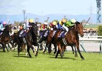競馬パネル：トウショウボーイ「1977年 第7回高松宮杯」※カラー直線 JP 日本郵政株式会社 a X: 