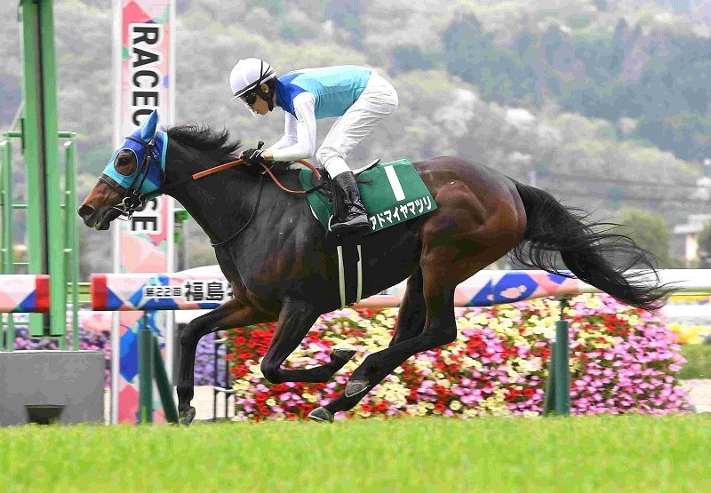 土日限定価格】福島競馬場 オリジナル起きあがりこぼし 土日限定