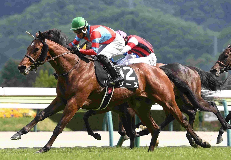 JRA競馬パネル R7・雪うさぎ賞レースパネル ワース | サンスポe-shop