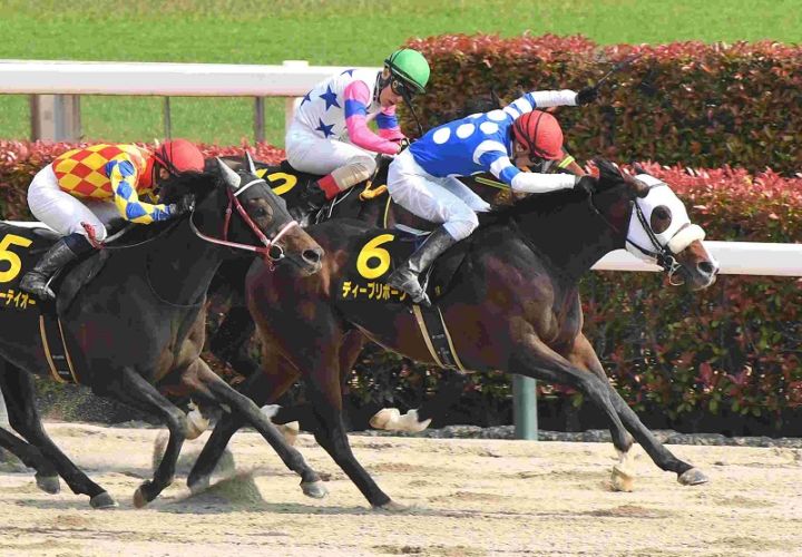 Ｒ7・ブリリアントSレースパネル　ディープリボーン　　　