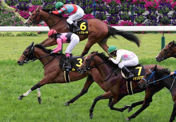 Ｒ7・橘Sレースパネル　ムイ　　