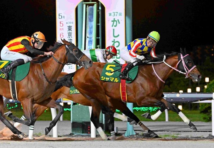 R7・かしわ記念レースパネル シャマル