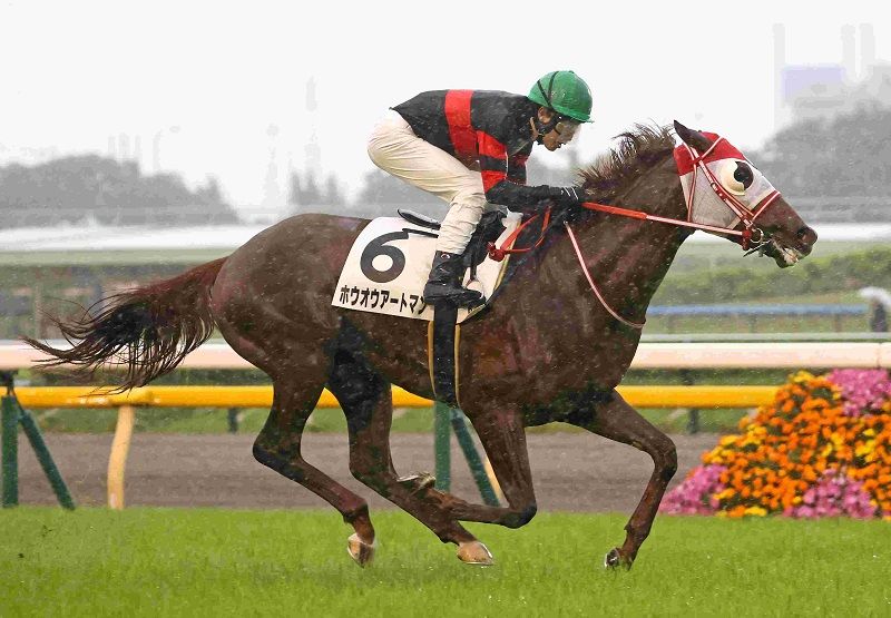 R7・3歳1勝クラス 東京(5/17)6Rレースパネル ホウオウアートマン