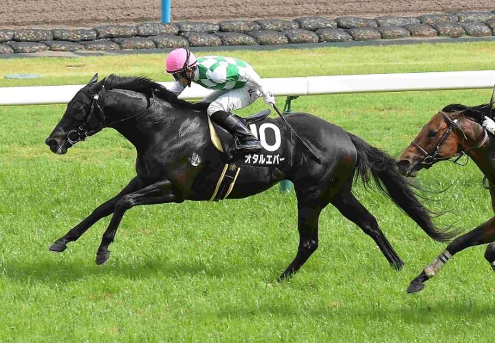 R7・鞍馬Sレースパネル オタルエバー