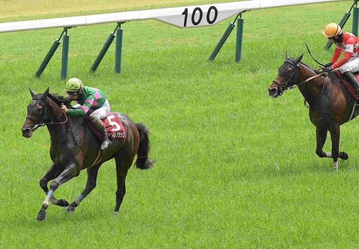 R7・京都ハイジャンプレースパネル アンクルブラック②