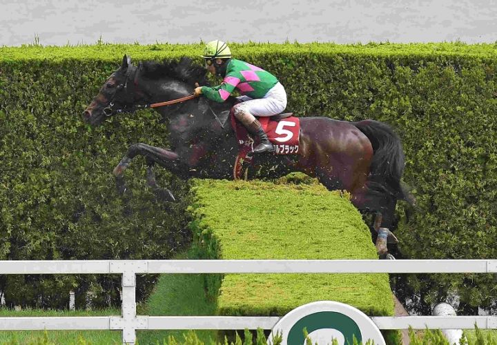 R7・京都ハイジャンプレースパネル アンクルブラック①