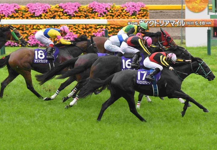 R7・ヴィクトリアマイルレースパネル アスコリピチェーノ