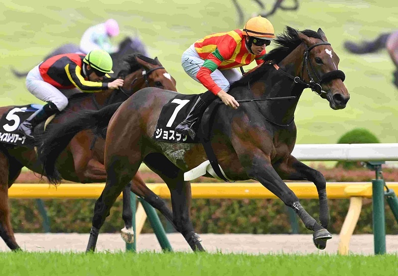 R7・カーネーションCレースパネル ジョスラン