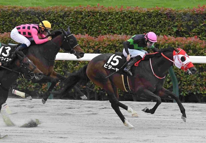 R7・欅Sレースパネル ビダーヤ