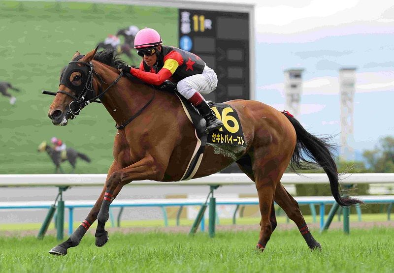 R7・都大路Sレースパネル セキトバイースト