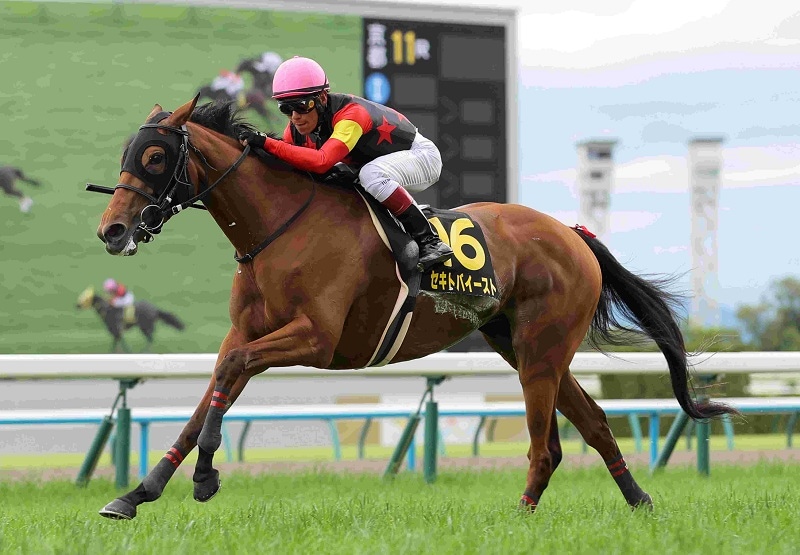 R7・都大路Sレースパネル セキトバイースト