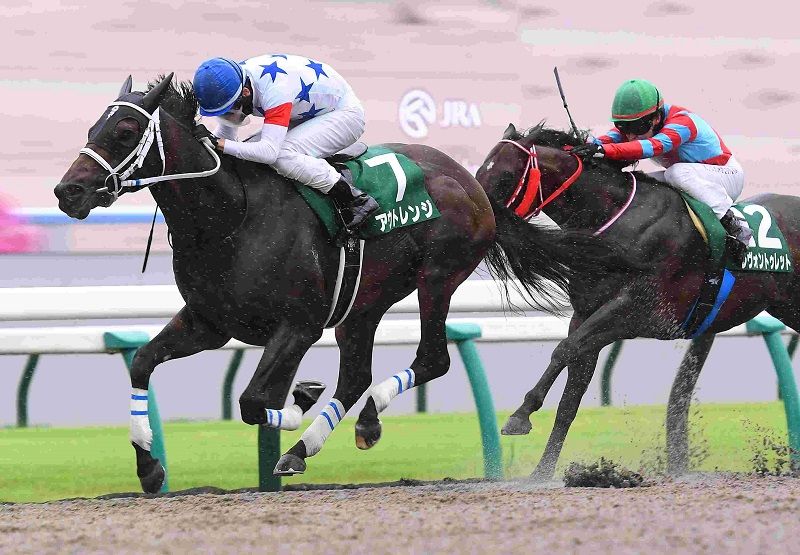 R7・平安Sレースパネル アウトレンジ