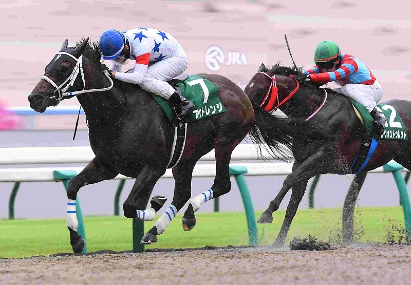 R7・平安Sレースパネル アウトレンジ