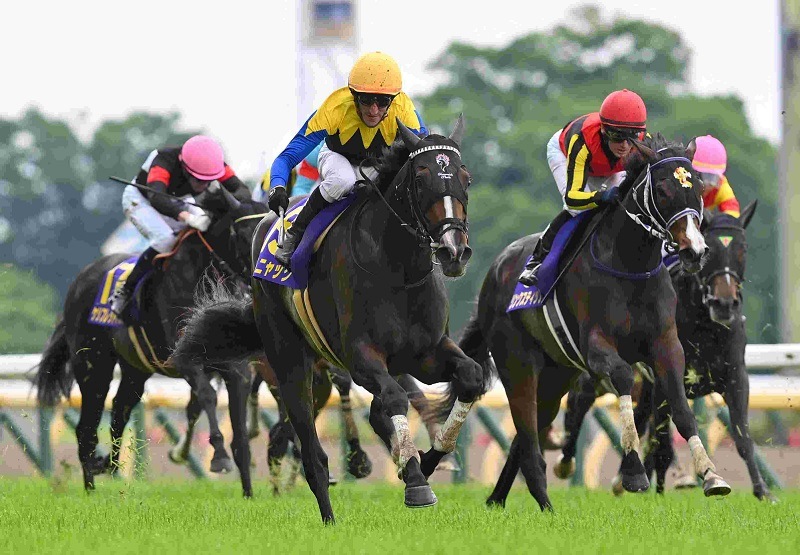 R7・オークスレースパネル カムニャック