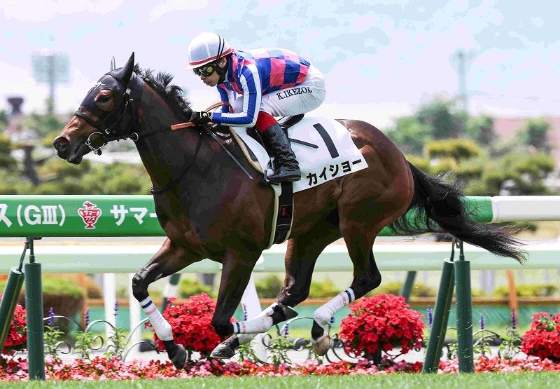 R7・メイクデビュー函館(6/14)5Rレースパネル カイショー