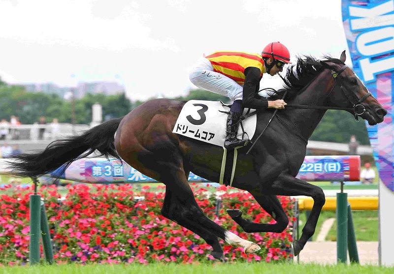 R7・メイクデビュー東京(6/14)5Rレースパネル ドリームコア