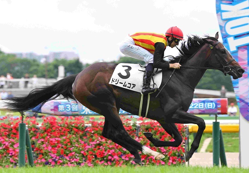 R7・メイクデビュー東京(6/14)5Rレースパネル ドリームコア