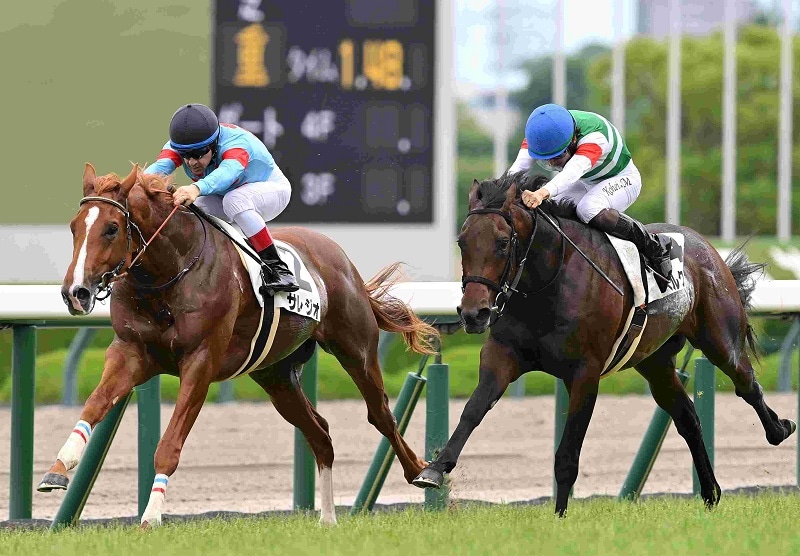 R7・メイクデビュー阪神(6/15)5Rレースパネル サレジオ