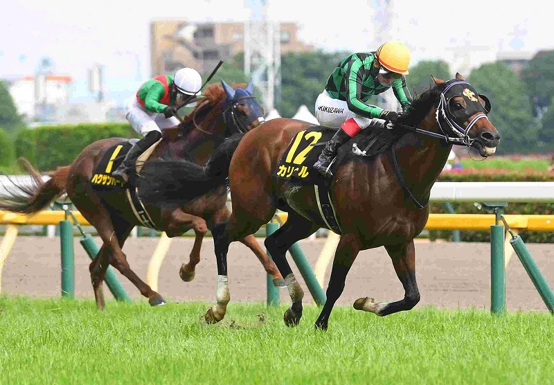 R7・パラダイスSレースパネル カリボール