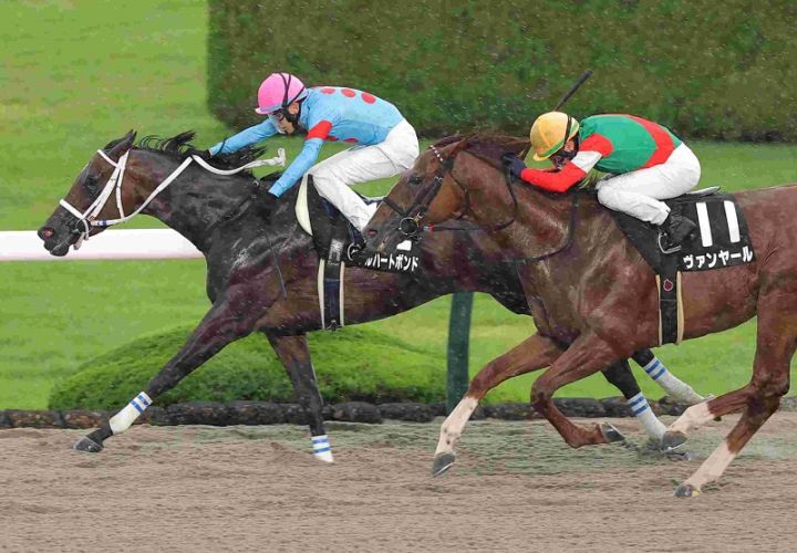 R7・三宮Sレースパネル ダブルハートボンド