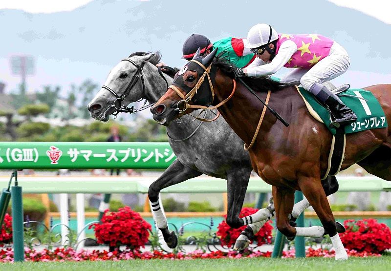 Ｒ7・函館スプリントSレースパネル　カピリナ
