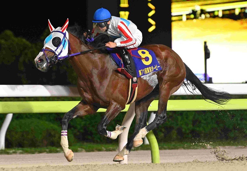 R7・東京ダービーレースパネル ナチュラルライズ
