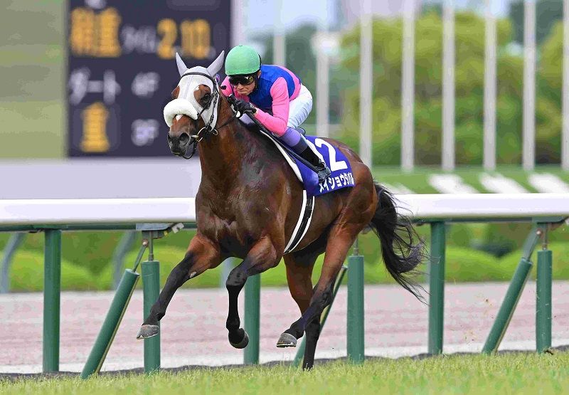 R7・宝塚記念レースパネル メイショウタバル