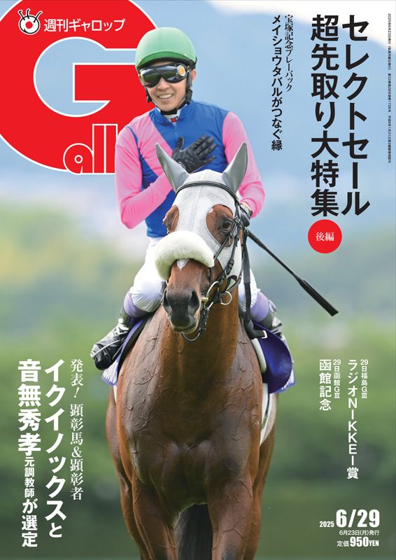 Gallop 臨時増刊 】週刊100名馬 『ダイユウサク』 - メルカリ