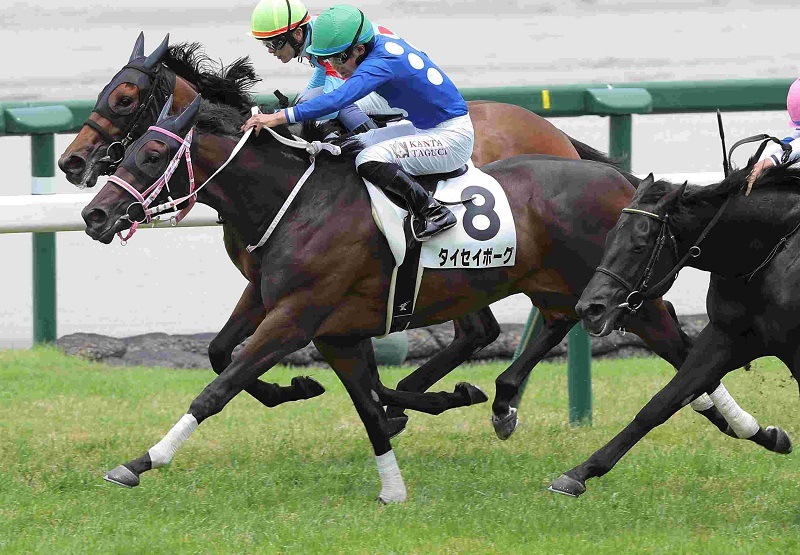 R7・メイクデビュー阪神(6/21)5Rレースパネル タイセイボーグ