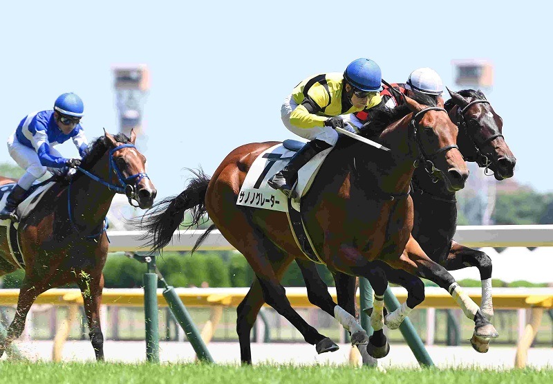R7・メイクデビュー東京(6/22)5Rレースパネル サノノグレーター