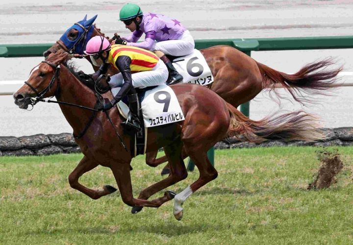 R7・メイクデビュー阪神(6/22)5Rレースパネル フェスティバルヒル