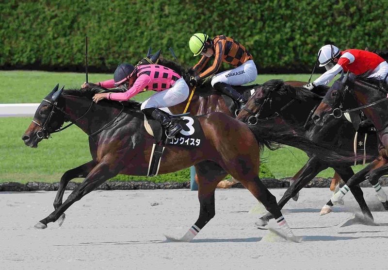 R7・天保山Sレースパネル コンクイスタ
