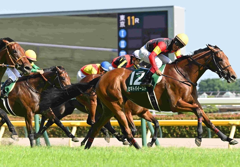 R7・府中牝馬Sレースパネル セキトバイースト