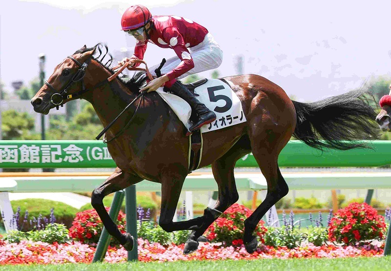 R7・メイクデビュー函館(6/28)5Rレースパネル フィオラーノ