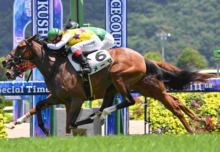 R7・メイクデビュー福島(6/28)5Rレースパネル メーゼ