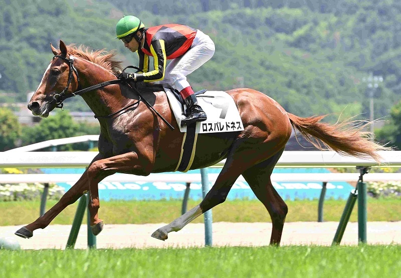 R7・メイクデビュー福島(6/29)5Rレースパネル ロスパレドネス