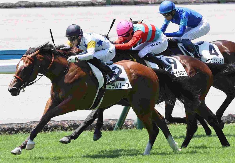 R7・メイクデビュー小倉(6/29)6Rレースパネル コラルリーフ