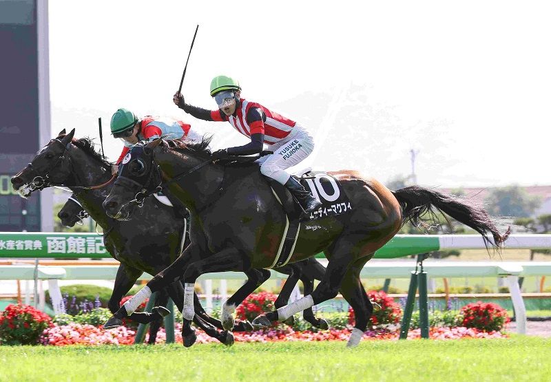 R7・青函Sレースパネル エーティーマクフィ