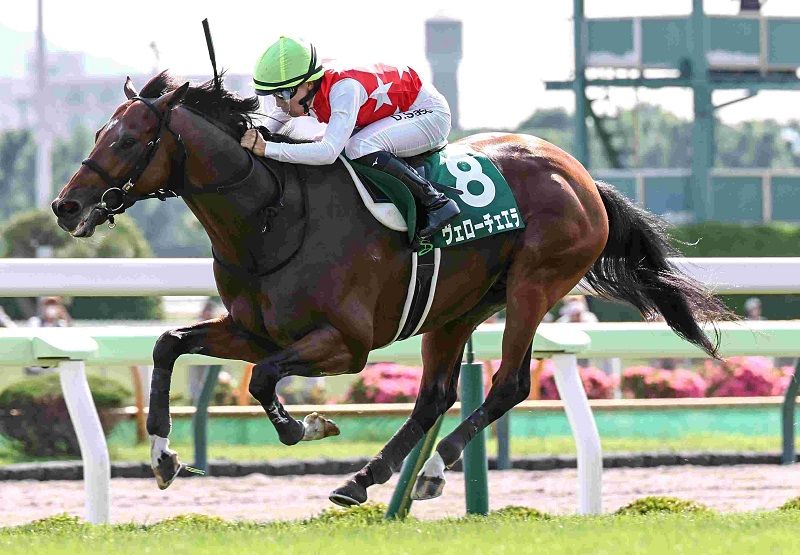 R7・函館記念レースパネル ヴェローチェエラ