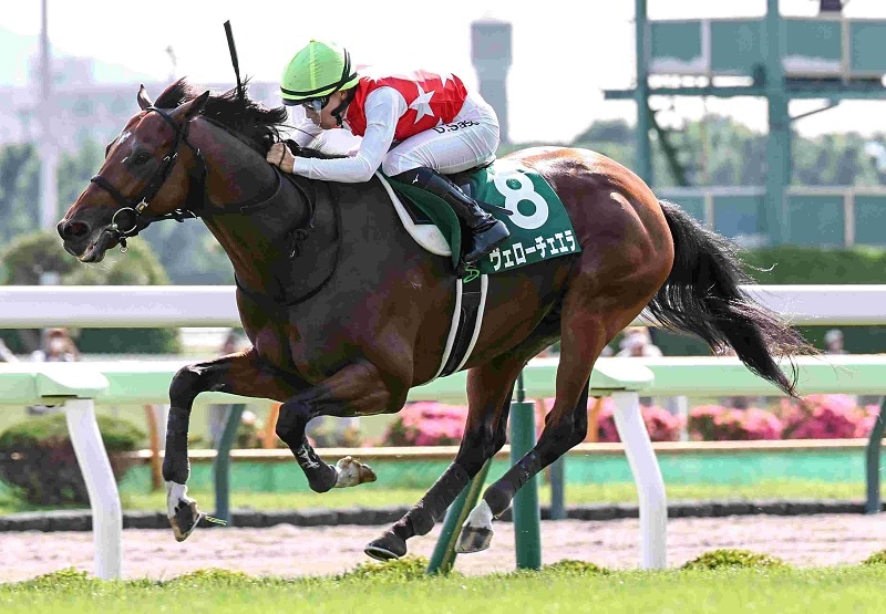 R7・函館記念レースパネル ヴェローチェエラ