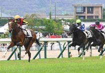 Ｒ7・メイクデビュー福島（7/6）5Rレースパネル　タイダルロック