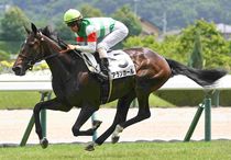 Ｒ7・メイクデビュー福島（7/5）5Rレースパネル　アランカール